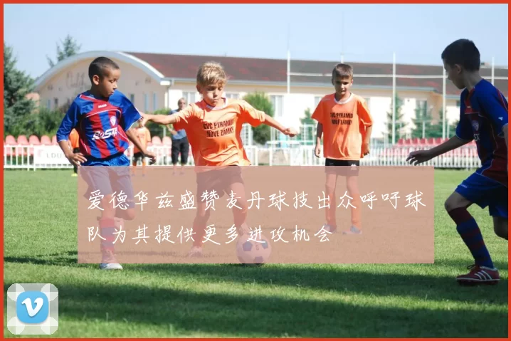 爱德华兹盛赞麦丹球技出众呼吁球队为其提供更多进攻机会